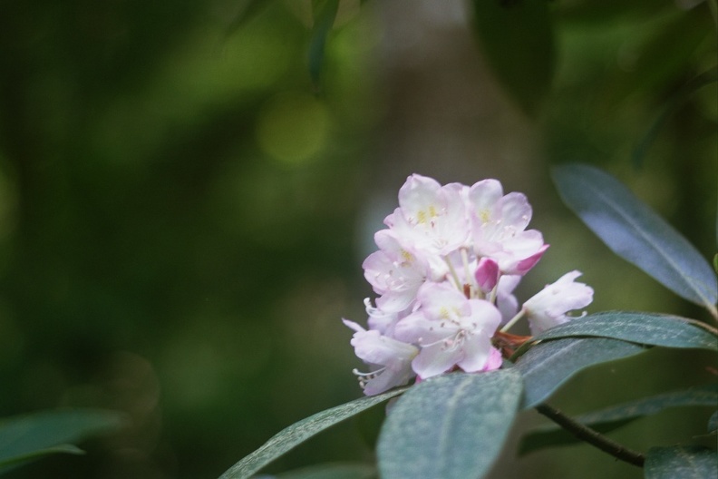 Gladie Creek &amp; Red River